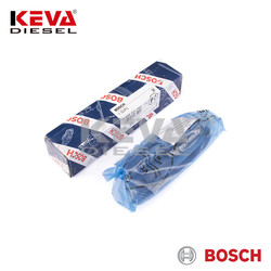 0432131733 Bosch Diesel Injector for Man