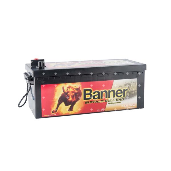 Banner 180Ah Buffalo Bull SHD PROfessional